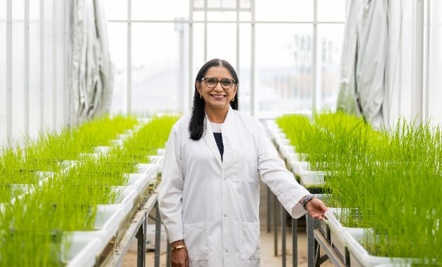 Charles Sturt to host international conference on next-generation crop protection technology
