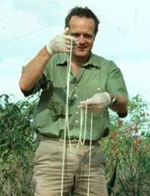 A beef tapeworm held by Professor Marshall Lightowlers, photo taken by Dr David Jenkins 