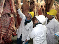 Judging meat at CSU in 2012.