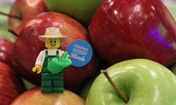 Lego Farmer goes to Canberra