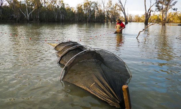CSU’s research excellence supports our communities