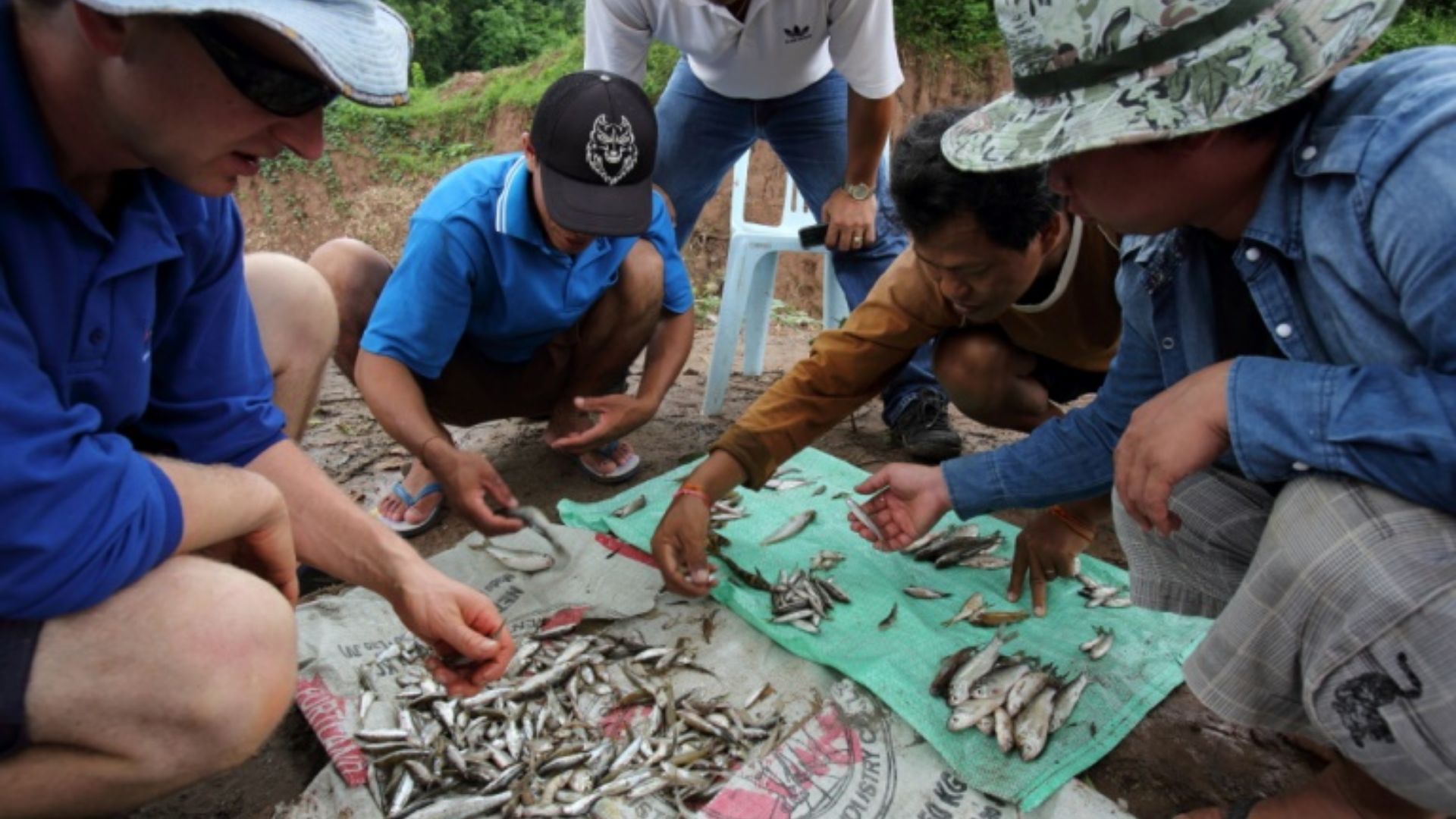 A challenging summer ahead – no rain and dry conditions will lead to more fish deaths 