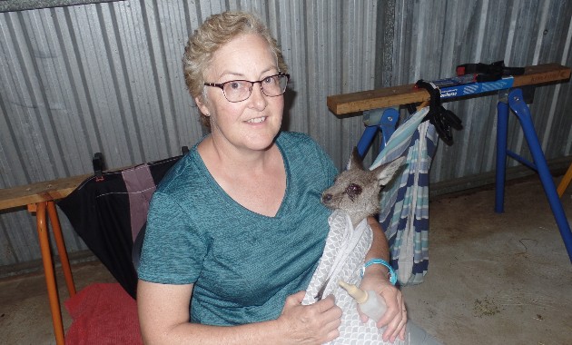 Dr Joanne Connolly with kangaroo at sanctuary