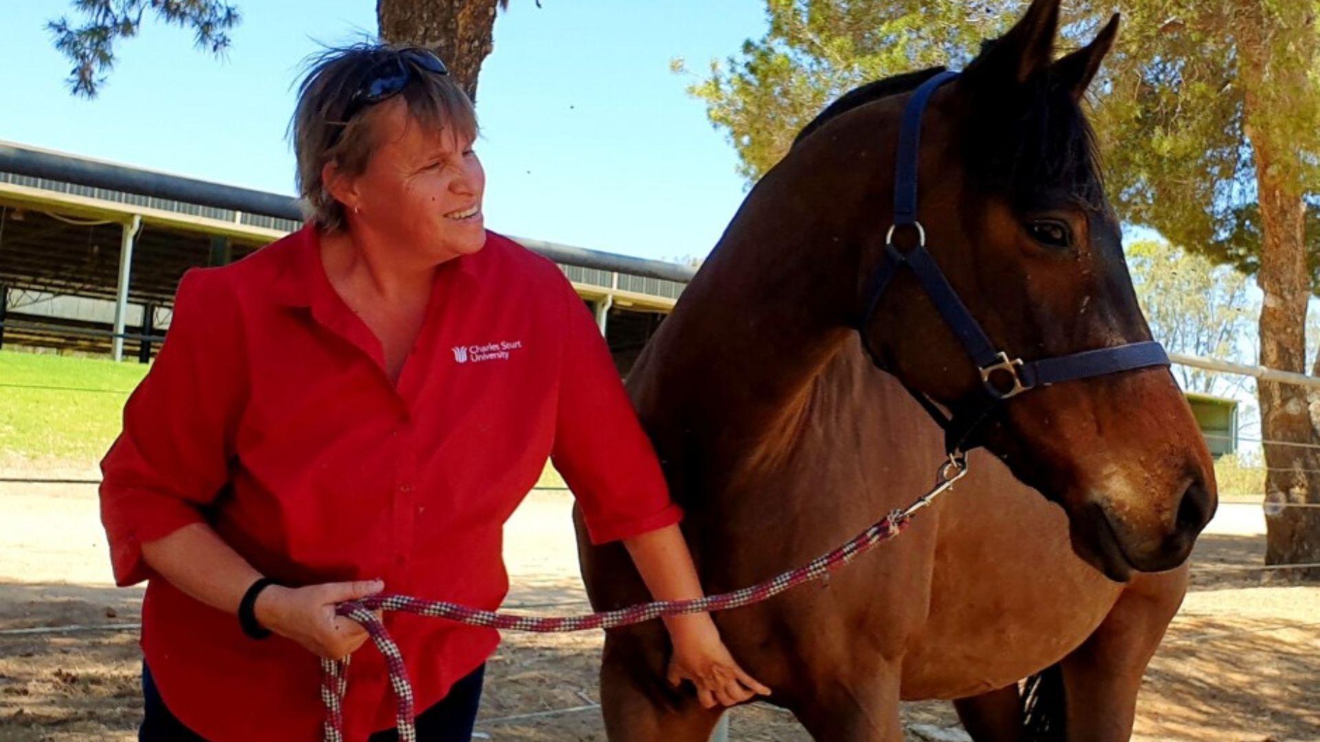 Charles Sturt academic conducts research on effect of COVID-19 on horse owners