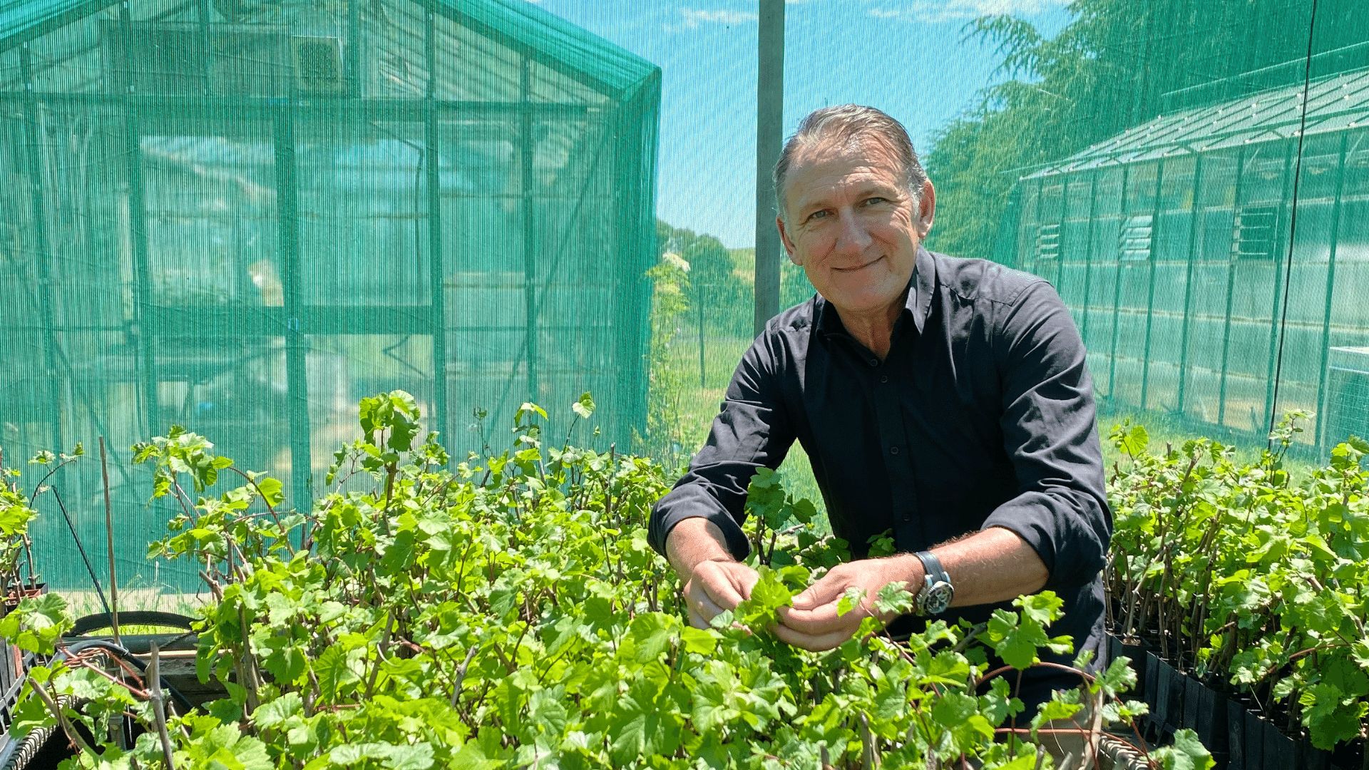 Agriculture research project wins trans-Tasman award