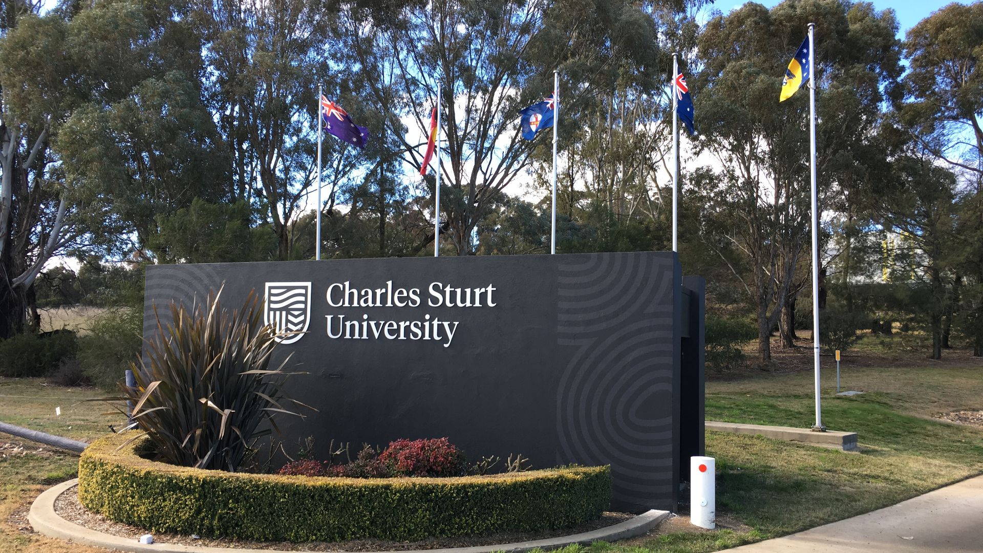 charles-sturt-university-supports-nsw-government-push-for-return-of