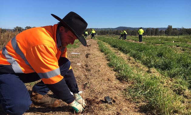 University and community partnership benefits environment 