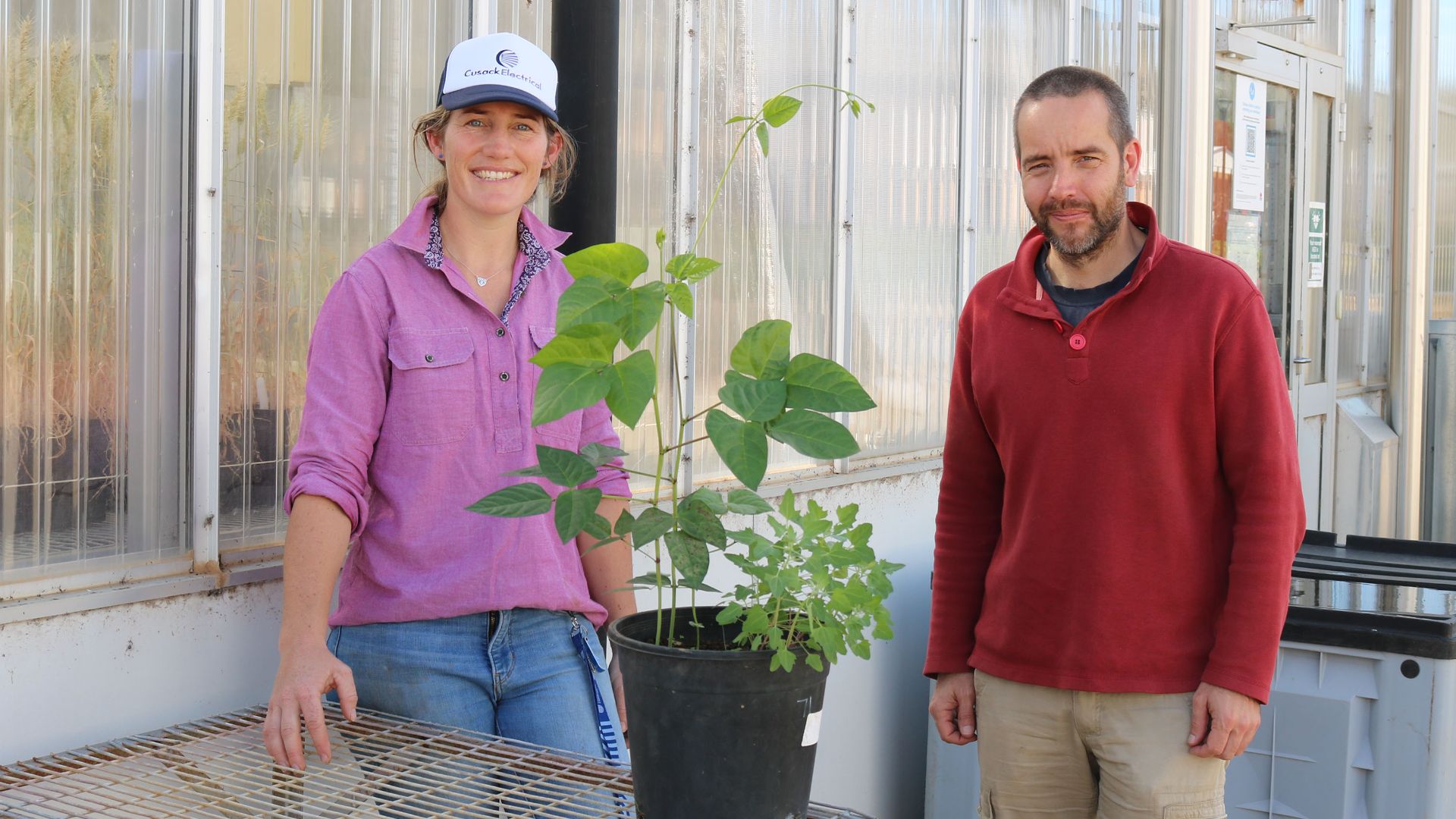 Cynthia Rabinowitz Millions of reasons to care about the science of soil - CSU News