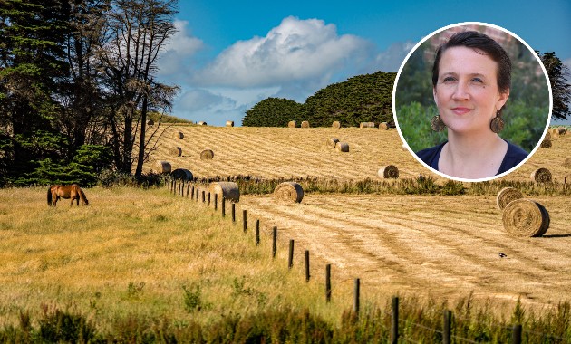 Rural women are the souls of the land 