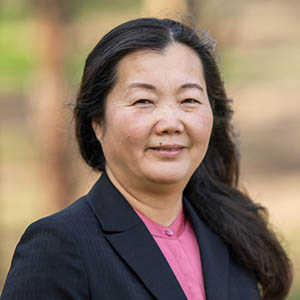 portrait of Associate Professor Lihong Zheng
