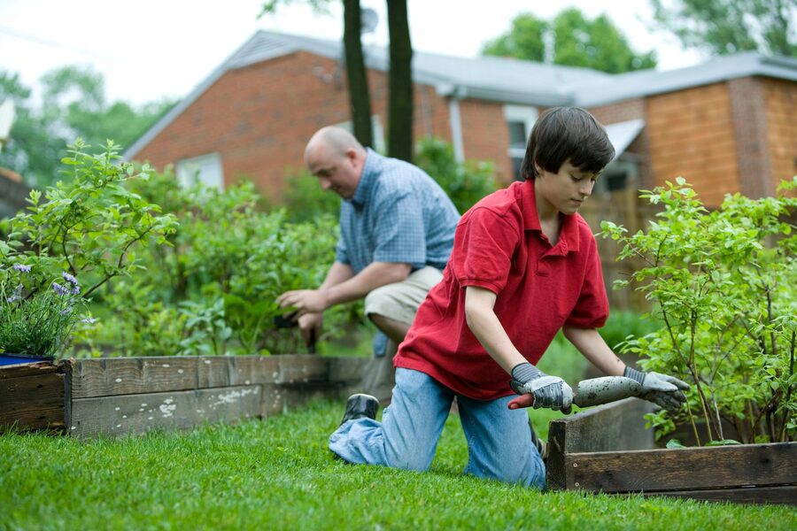 People gardening in raised beds