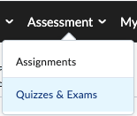 Screenshot of the Quizzes & Exams menu item