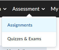 accessing assignments