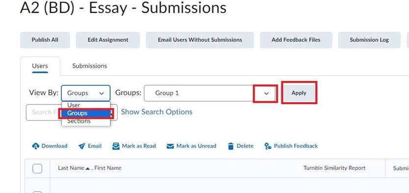 A screenshot of the Submissions tool in Brightspace. The group has been selected using the View By drop-down