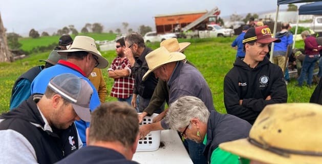 Local connections key to results on NSW South Coast