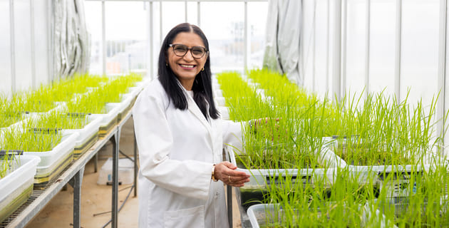 Unlocking the potential of dsRNA biopesticides: a call for global regulatory harmony