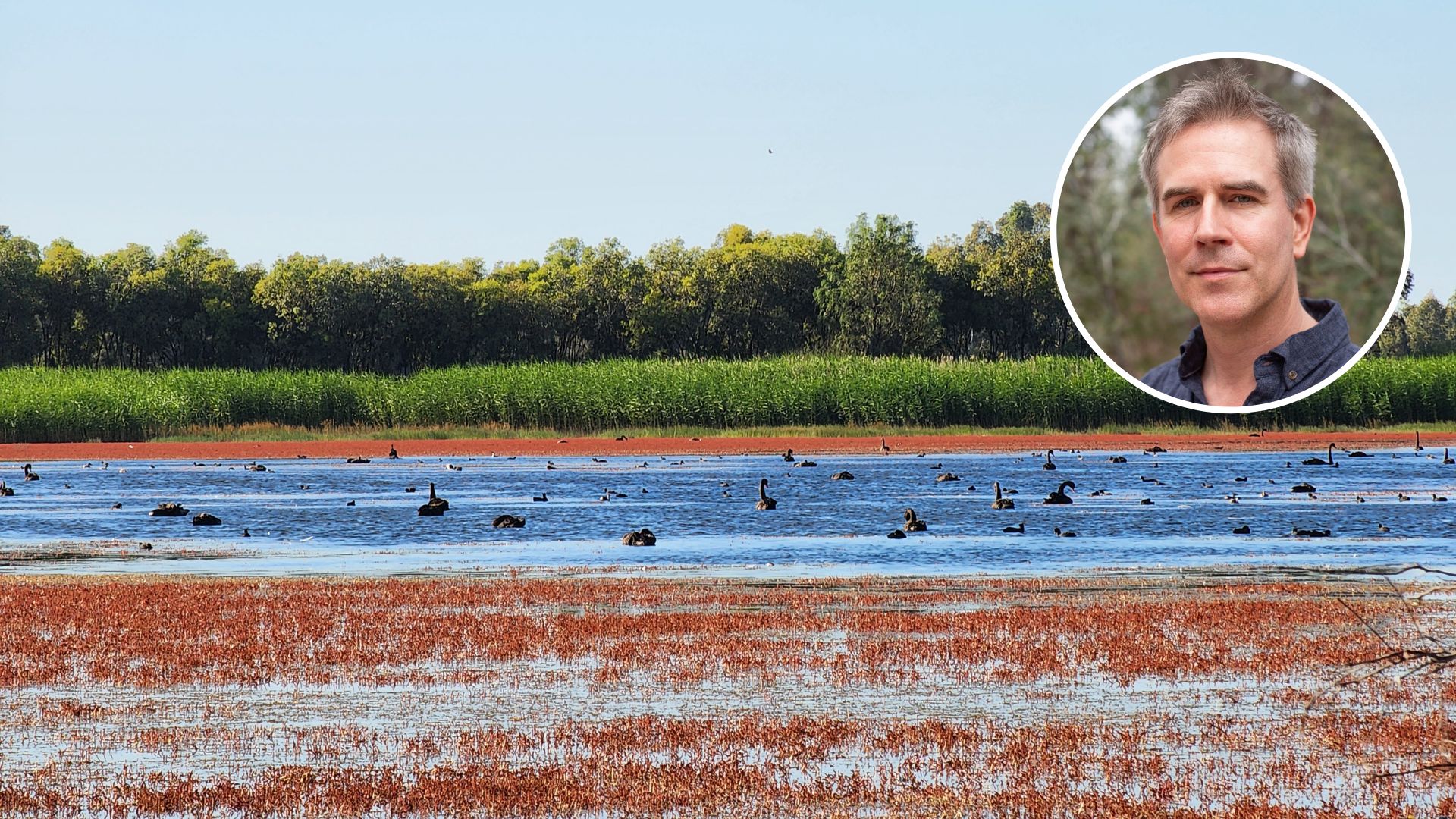 Smarter water delivery to enhance wetland ecology across the Murray-Darling Basin and beyond 