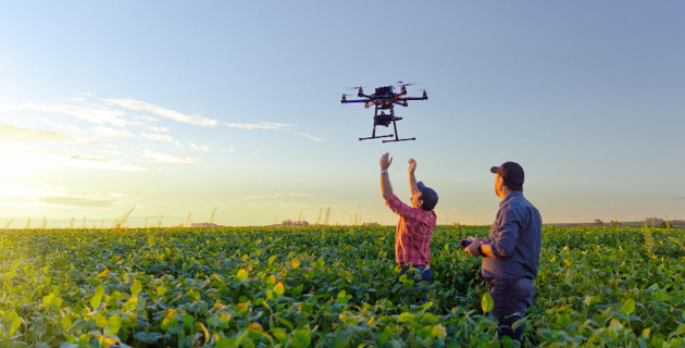 Careers in Agriculture, Animals and Environment