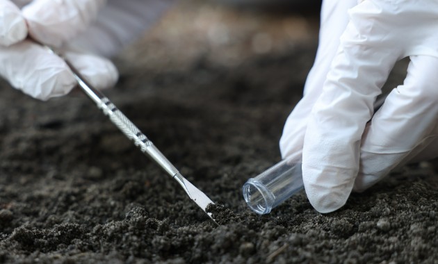 Charles Sturt shines globally with top 100-ranked research driving real-world impact