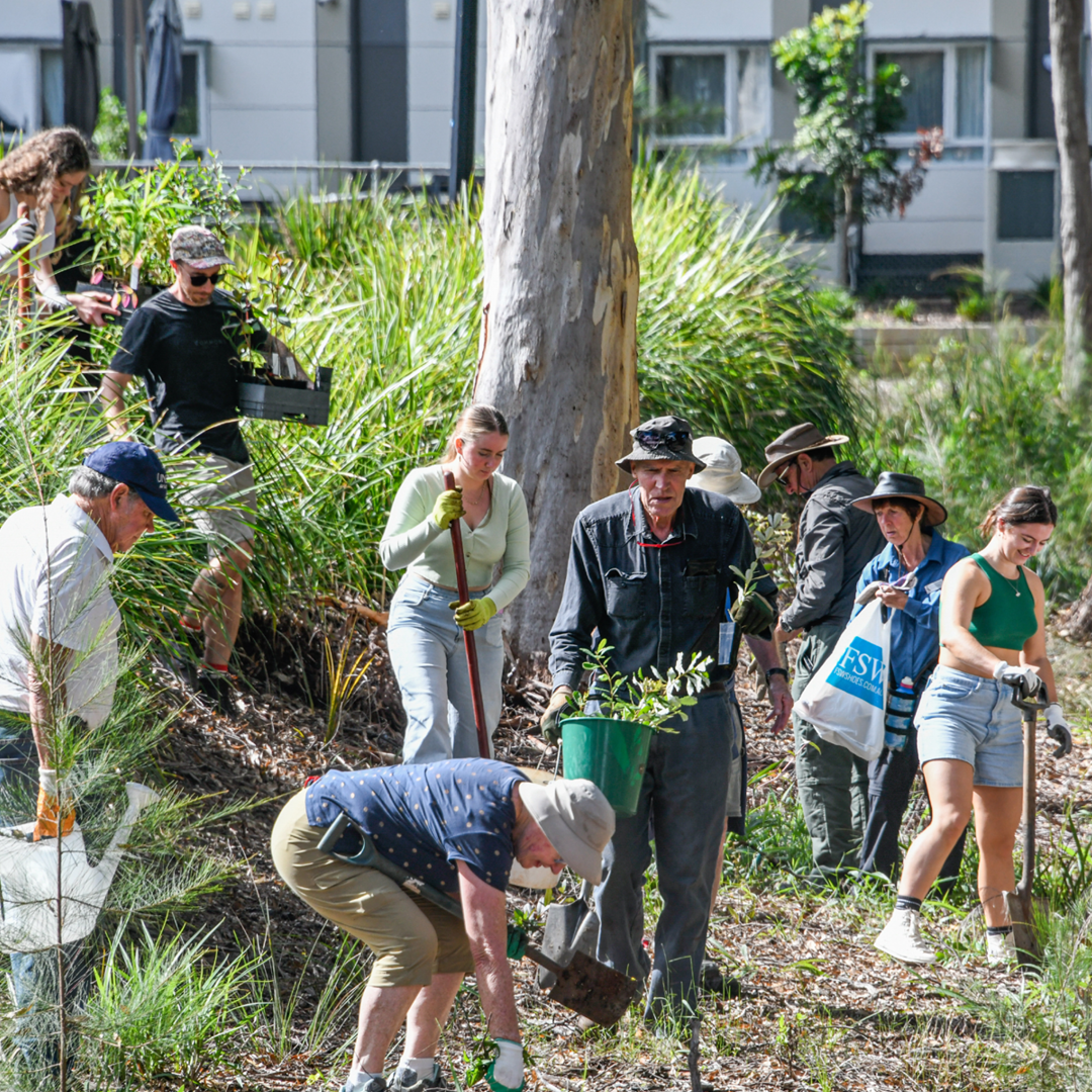 220427-Port-Macquarie-Tree-Planting-Event-19.png