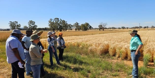 Equipping emerging researchers to deliver real-world impact