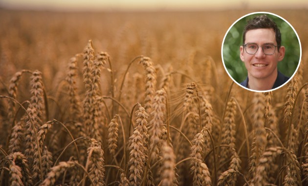 Short-season wheat ensures greater resilience for Australian cropping systems 