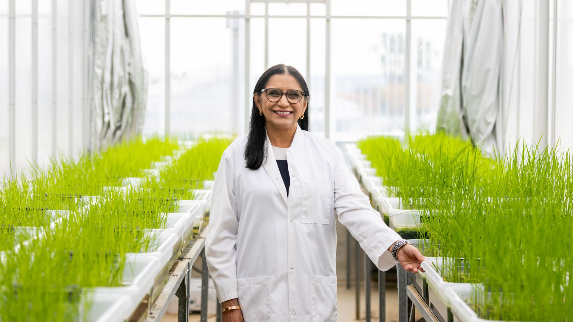 Charles Sturt to host international conference on next-generation crop protection technology