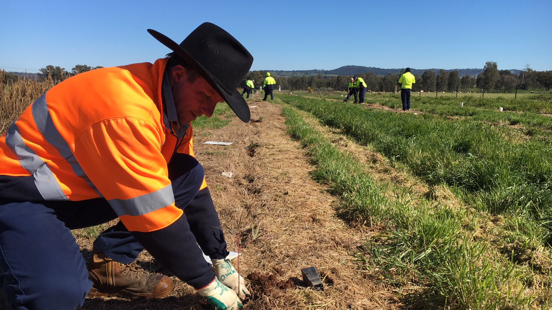 University and community partnership benefits environment 