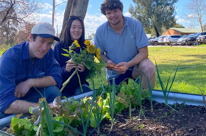 Grants - students working on campus veggie garden