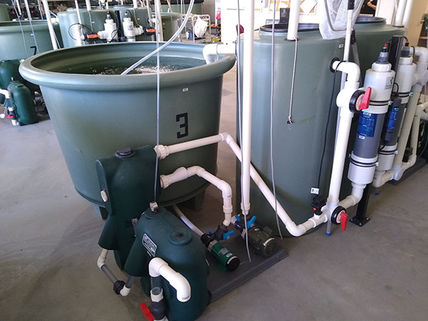 The 1,500 litre recirculating systems