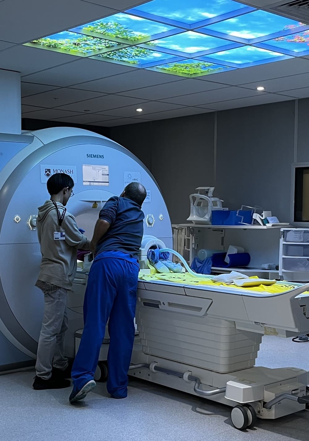 Researchers performing an MRI on a pig 