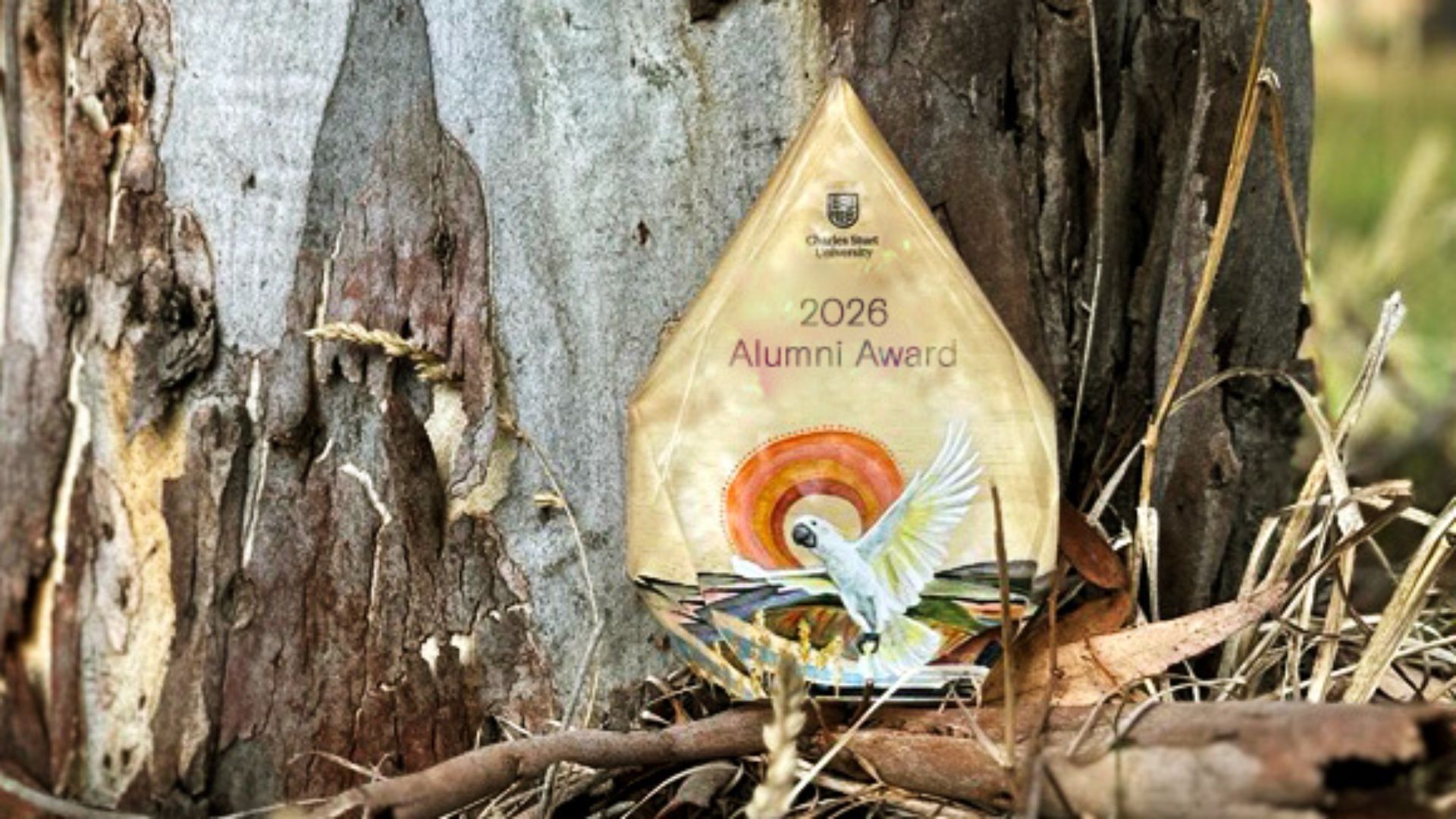 2026 Alumni Awards open: University searches for impactful alumni