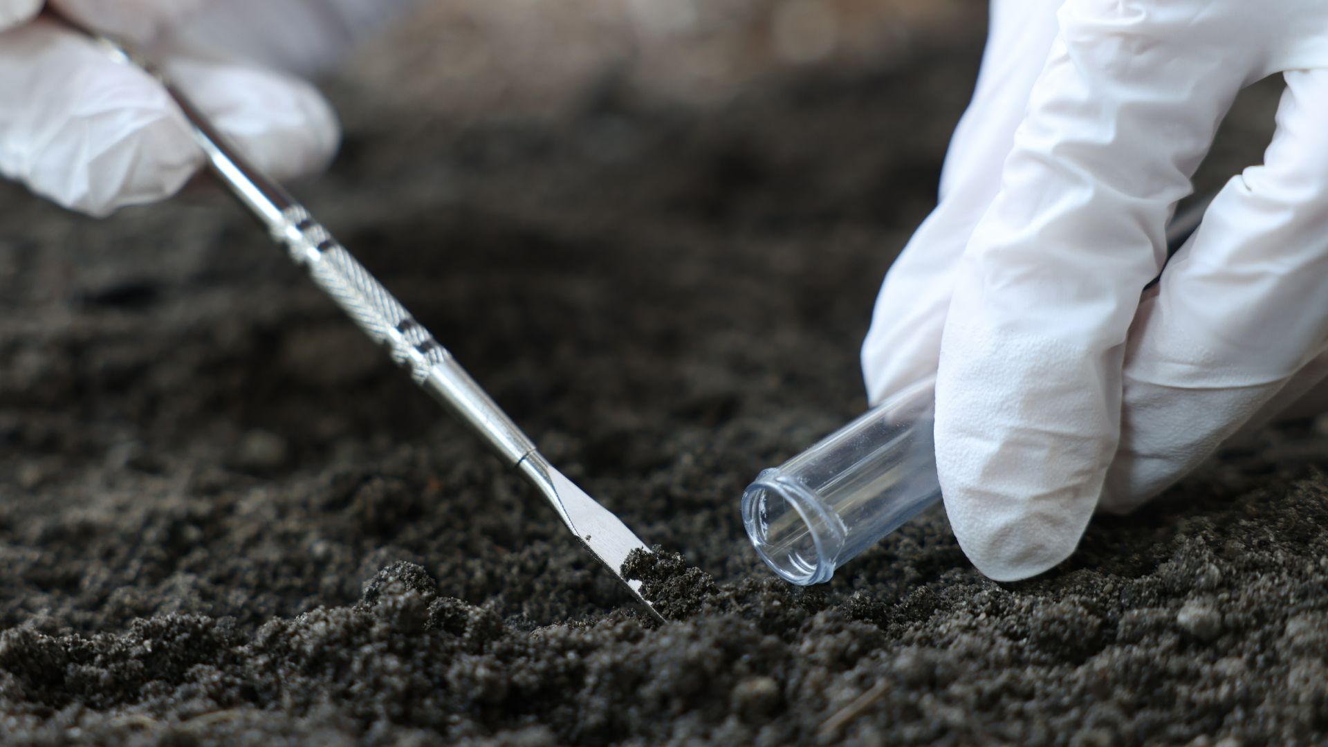 Charles Sturt shines globally with top 100-ranked research driving real-world impact