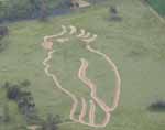 A geoglyph of a cockatoo at Oura near Wagga Wagga. 