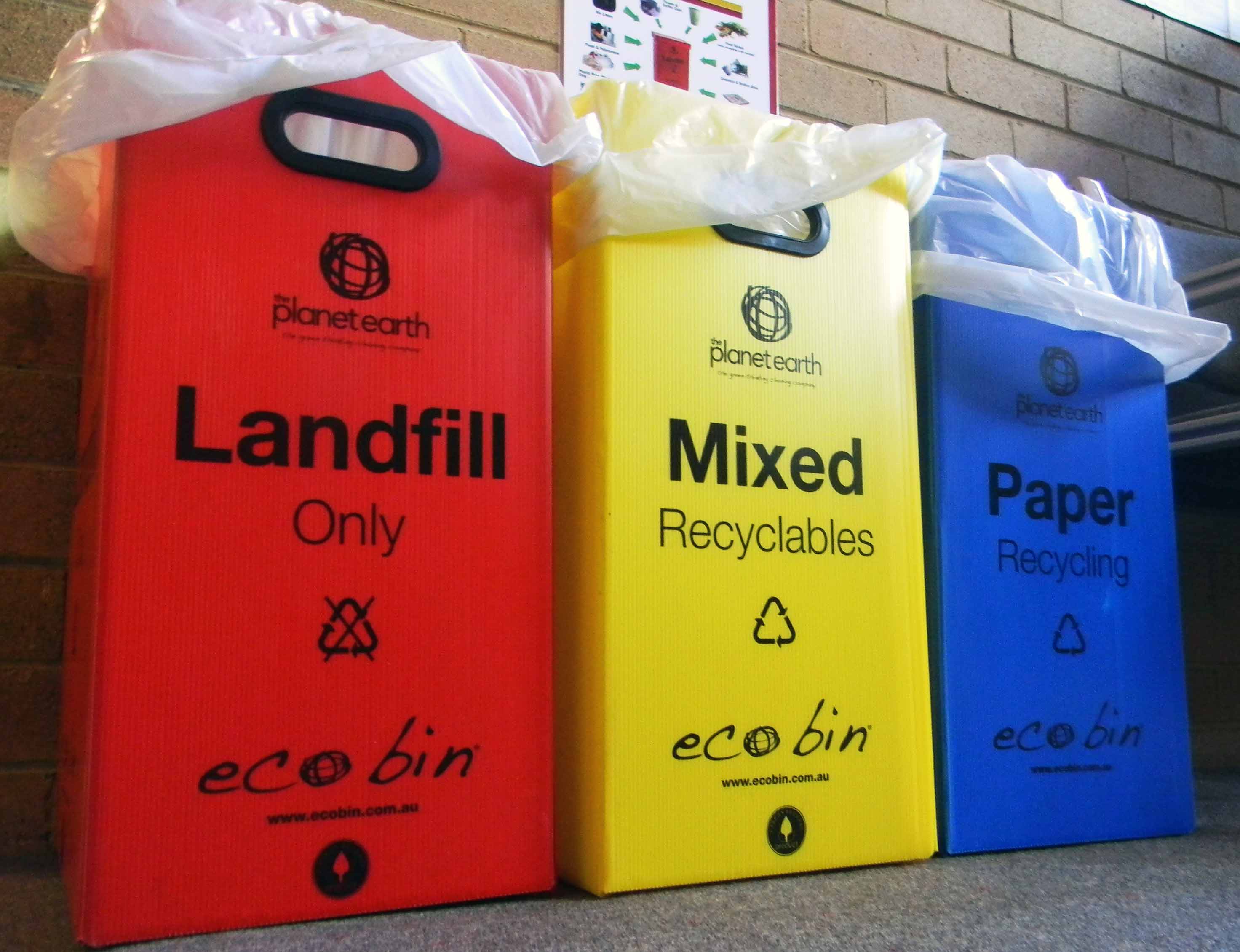 CSU Green recycling bins.