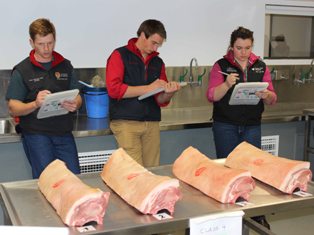Meat judging at CSU in 2013