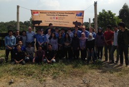 CSU students with members of the cattle buffalo club at Padjadjaran University Faculty of Animal Science photo courtesy Mr Elliott O'Farrell