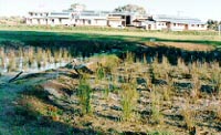 Current "grey water" ponds on CSU's Thurgoona site.