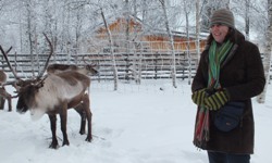 CSU student Ms Annette Jacobsen with reindeer in northern Sweden