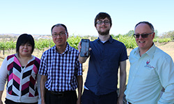 CSU Research: New technology to track grape development for better harvest