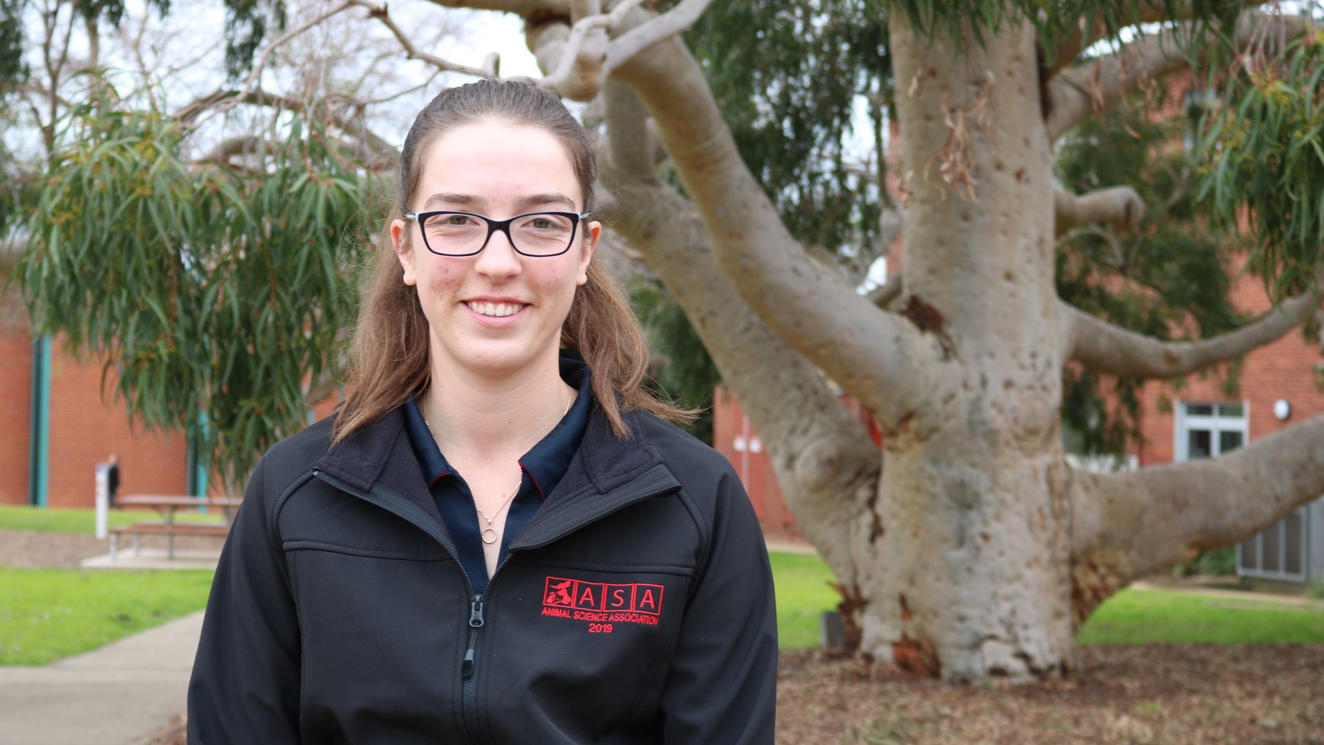 Graduating student’s research asks: Is it worth processing barley when feed lotting lambs?