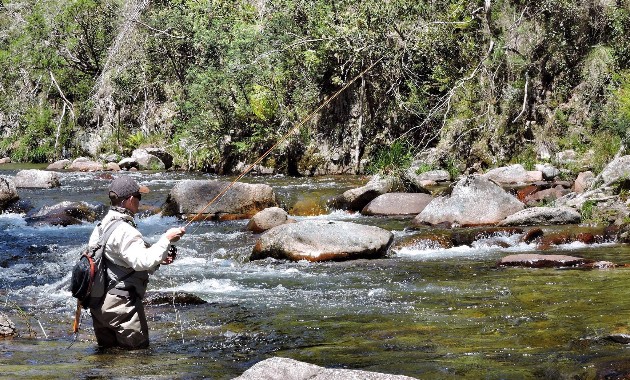 Fishing for hope: the importance of recreational fishing during a crisis
