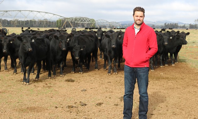 Webinar explores how dual purpose crops can ‘beef-up’ winter feed options 