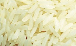 Australian researchers map micronutrients in white rice