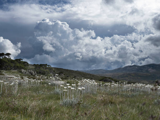 Clouds and light for data collection