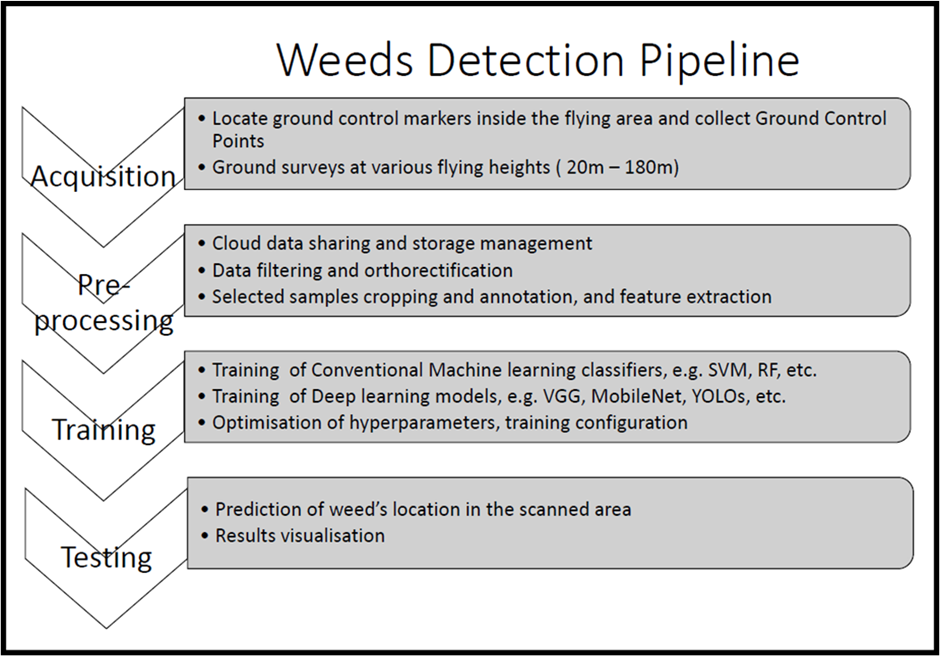 Weed detection pipeline