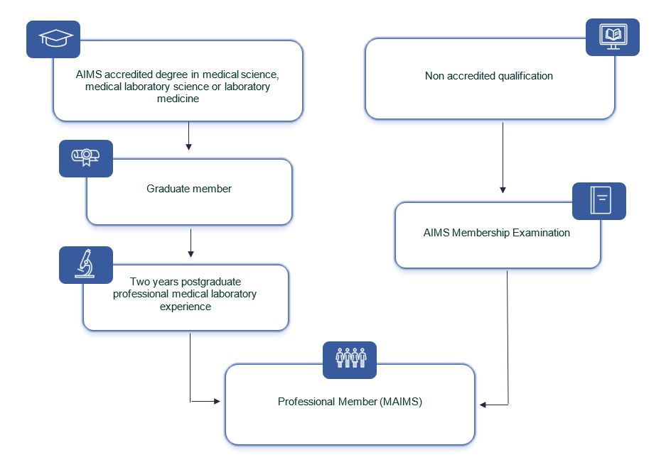 This is a simplified workflow of how to become a medical scientist.