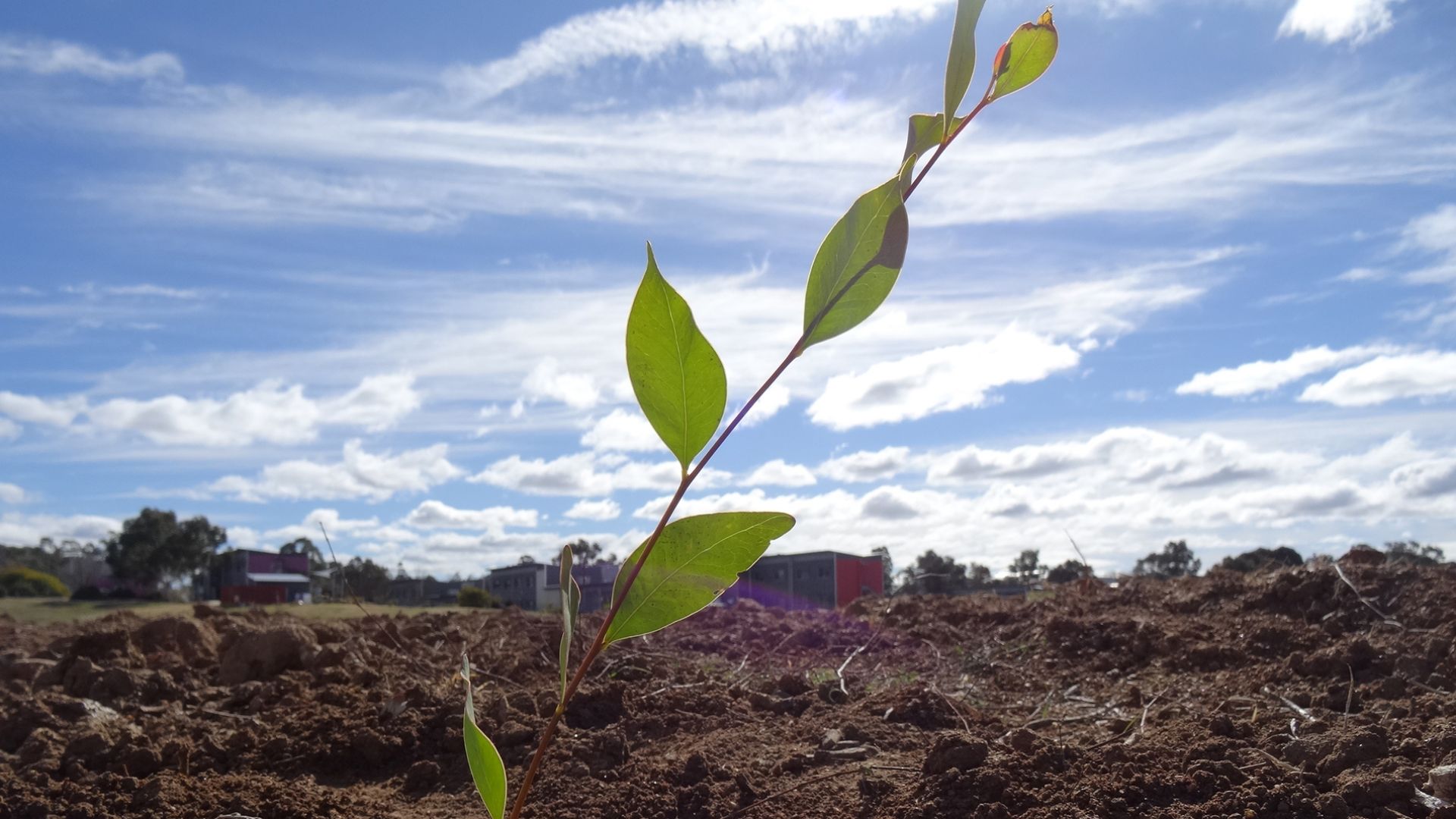 Charles Sturt scorecard on 2019 World Environment Day