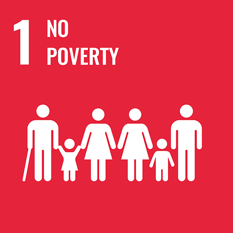 Goal 1 - No poverty