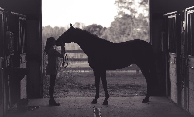 10 common things humans do that scare and confuse horses